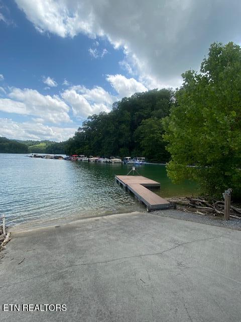 Chimney Rock Road New Tazewell TN 37825