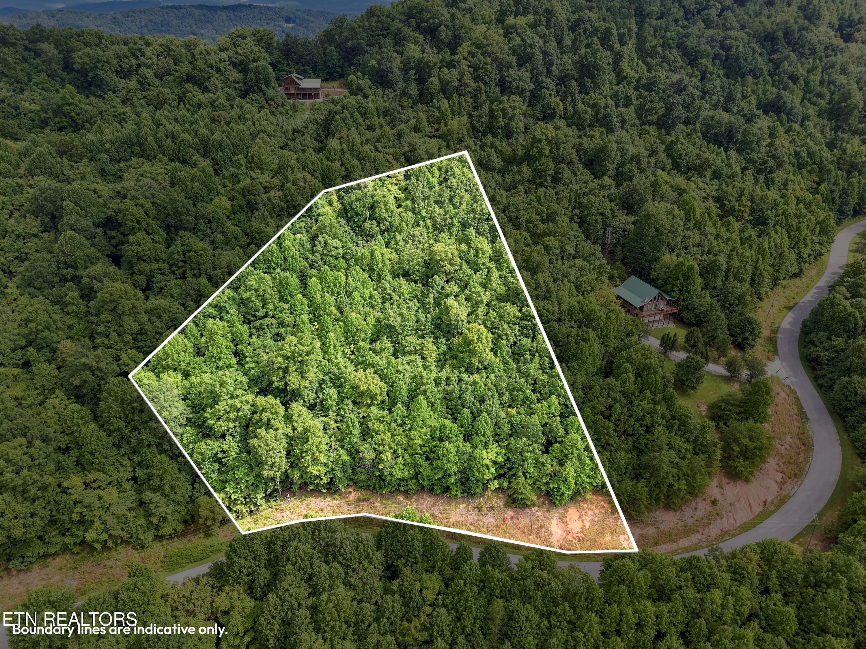 Chimney Rock Road New Tazewell TN 37825