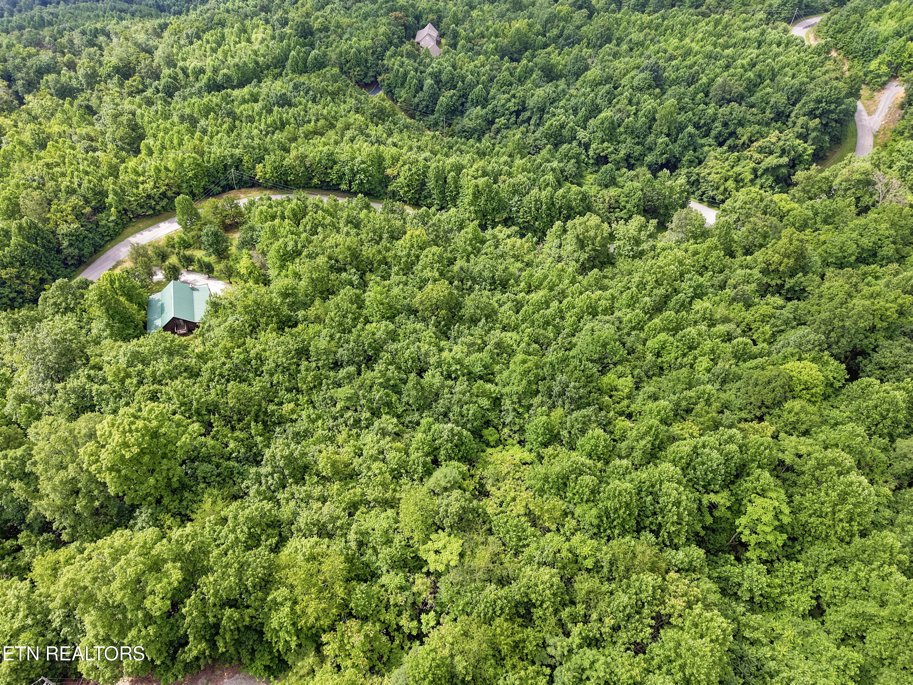 Chimney Rock Road New Tazewell TN 37825