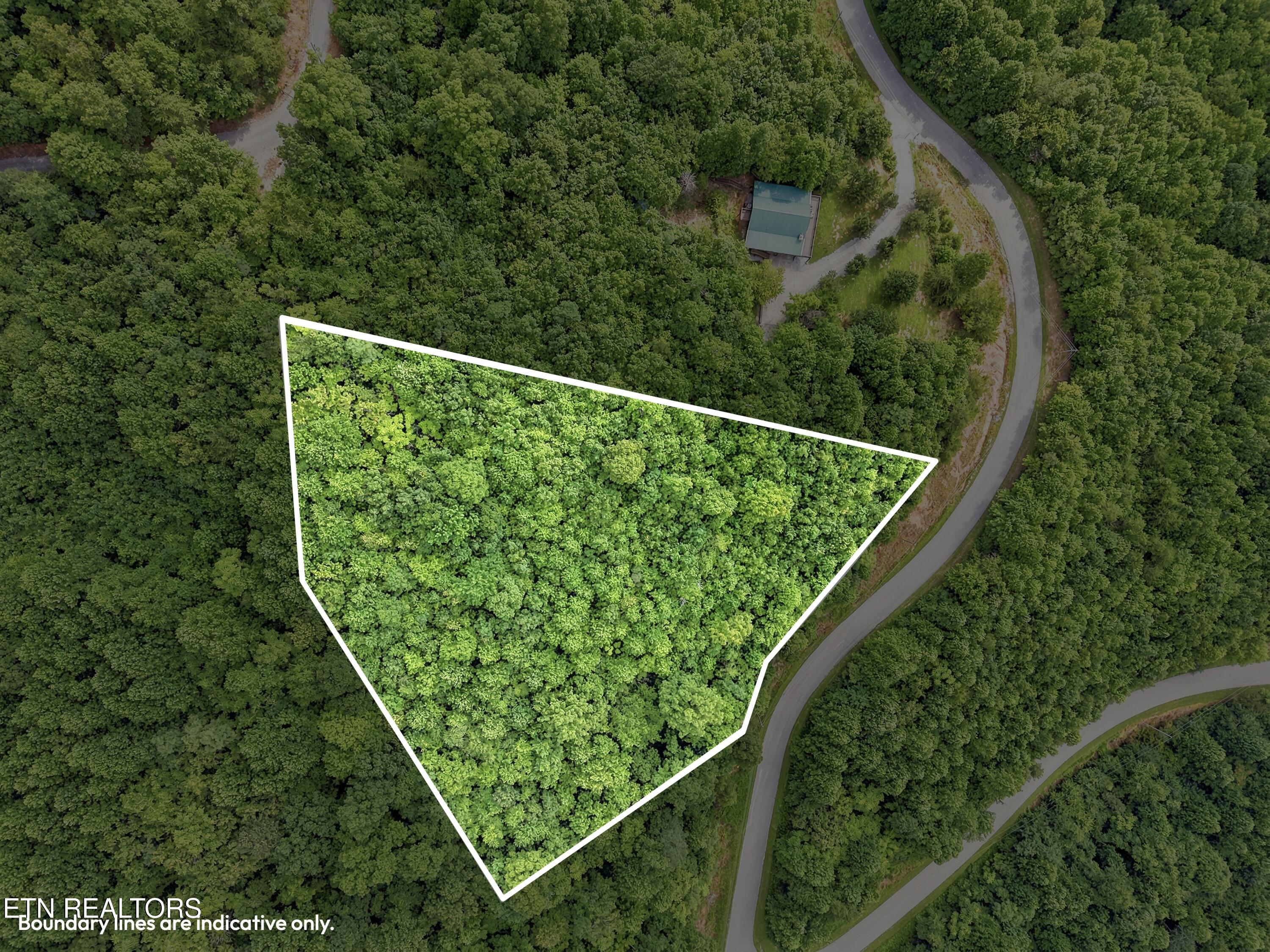 Chimney Rock Road New Tazewell TN 37825