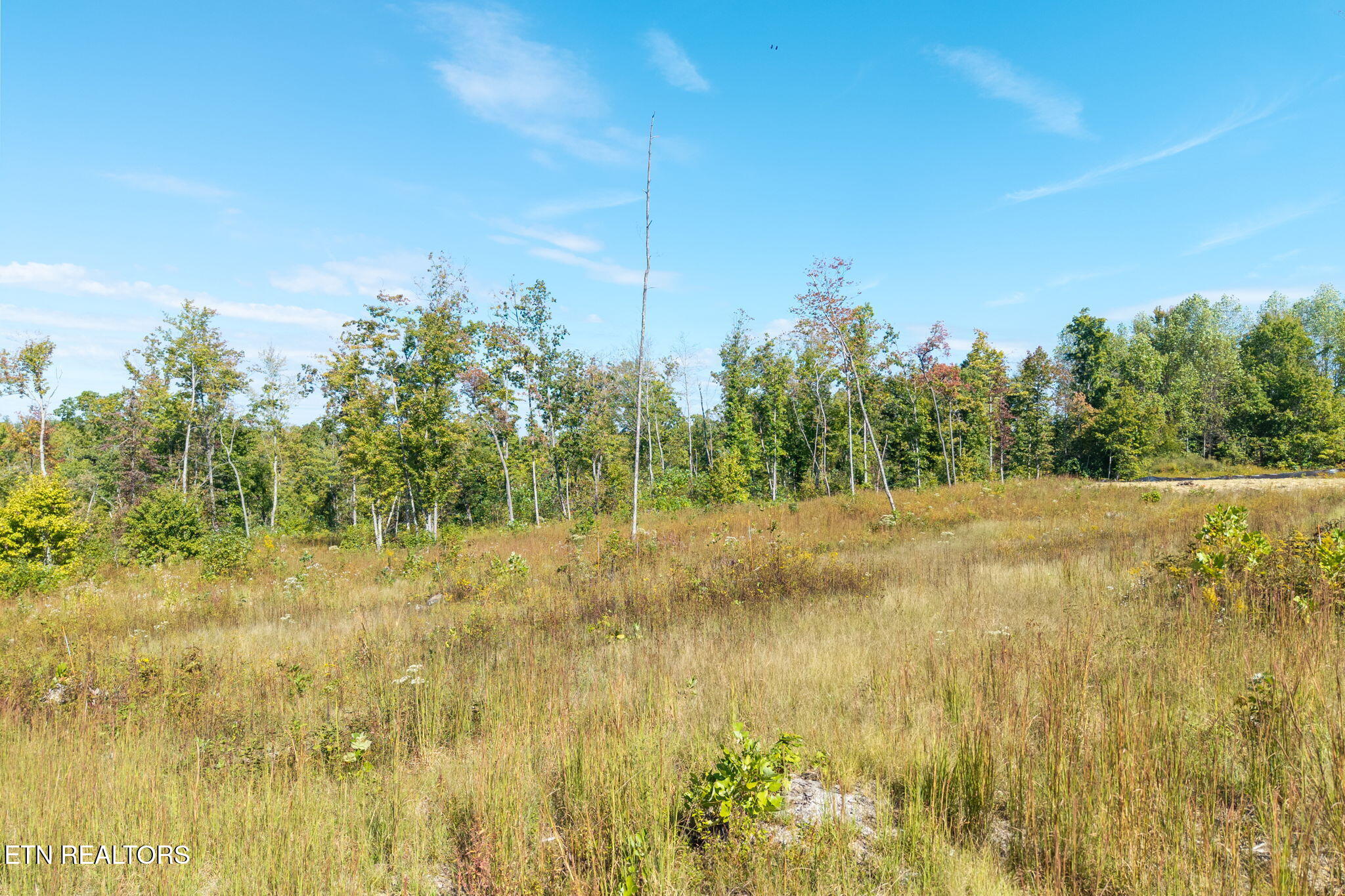 Flat Rock Road Jamestown TN 38556