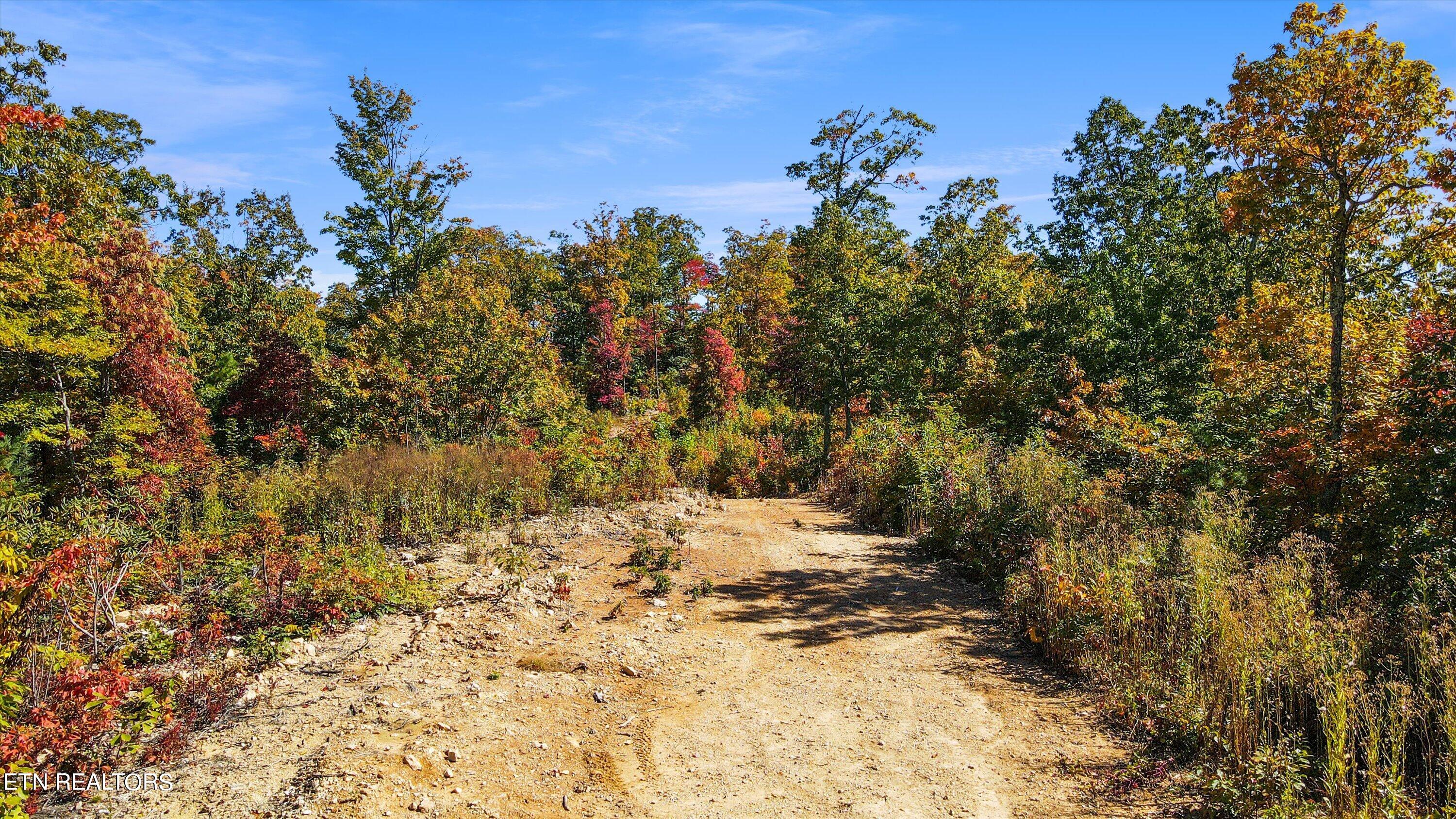 Alpine Drive Sevierville TN 37876