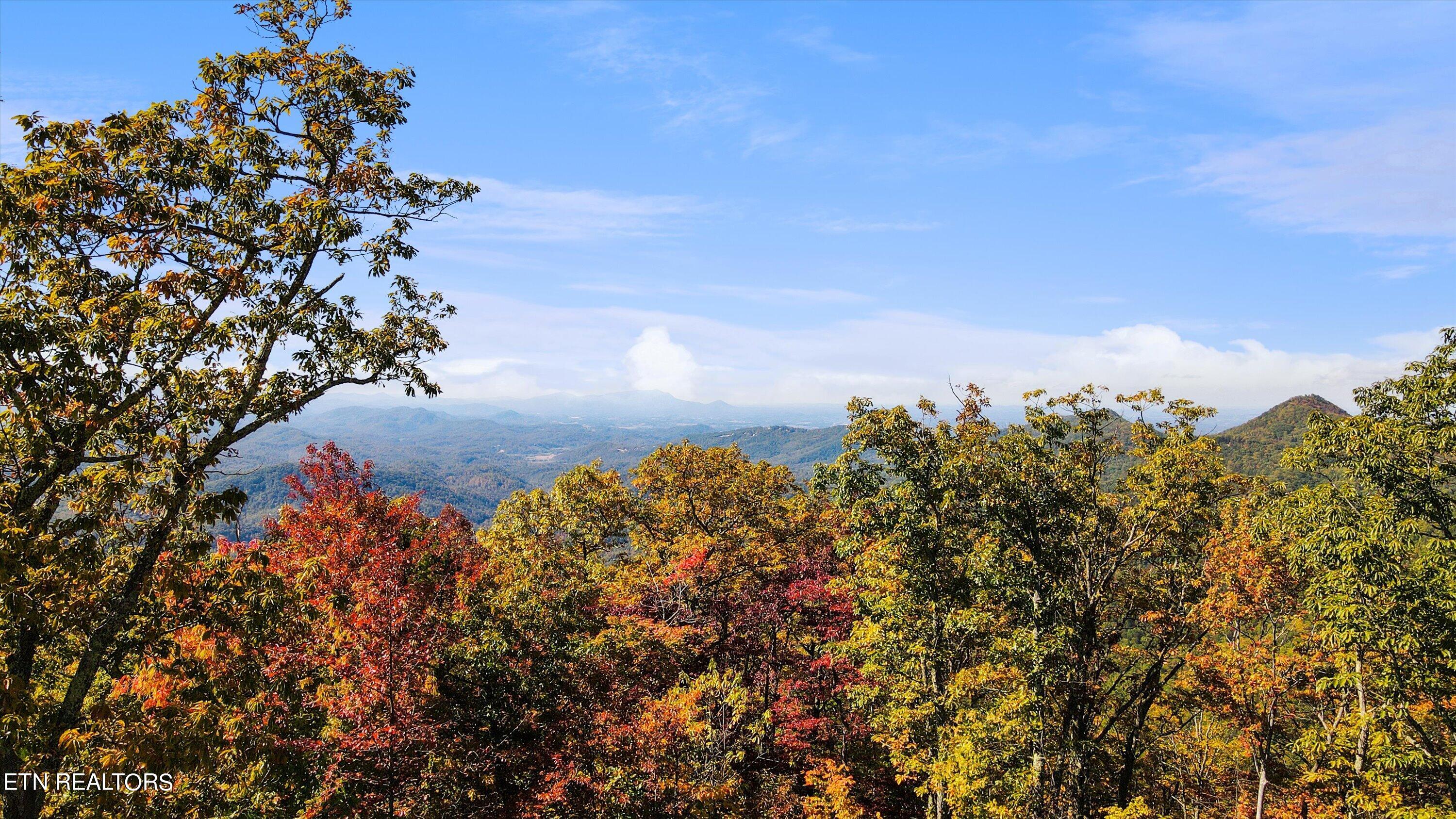 Alpine Drive Sevierville TN 37876