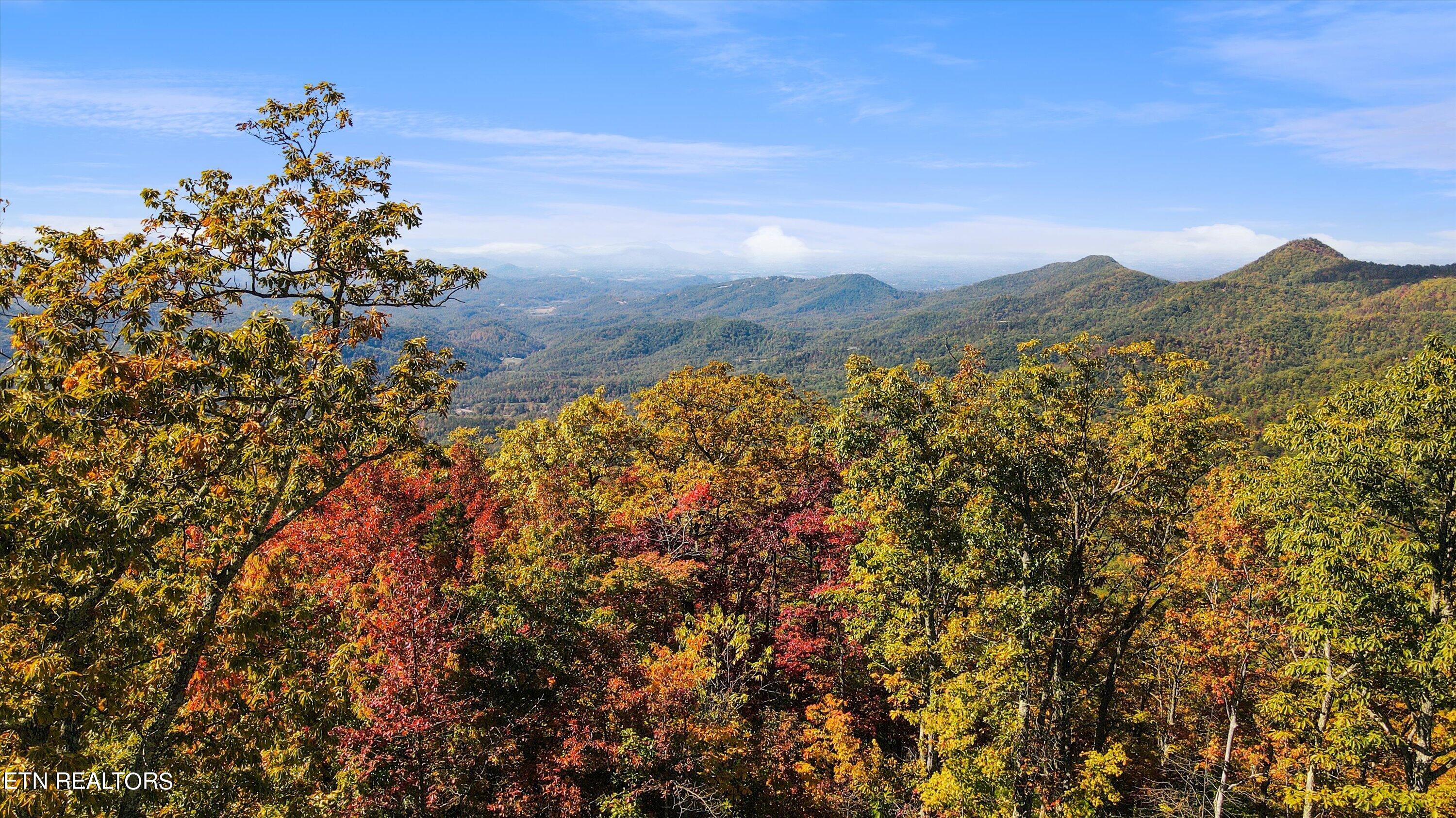 Alpine Drive Sevierville TN 37876