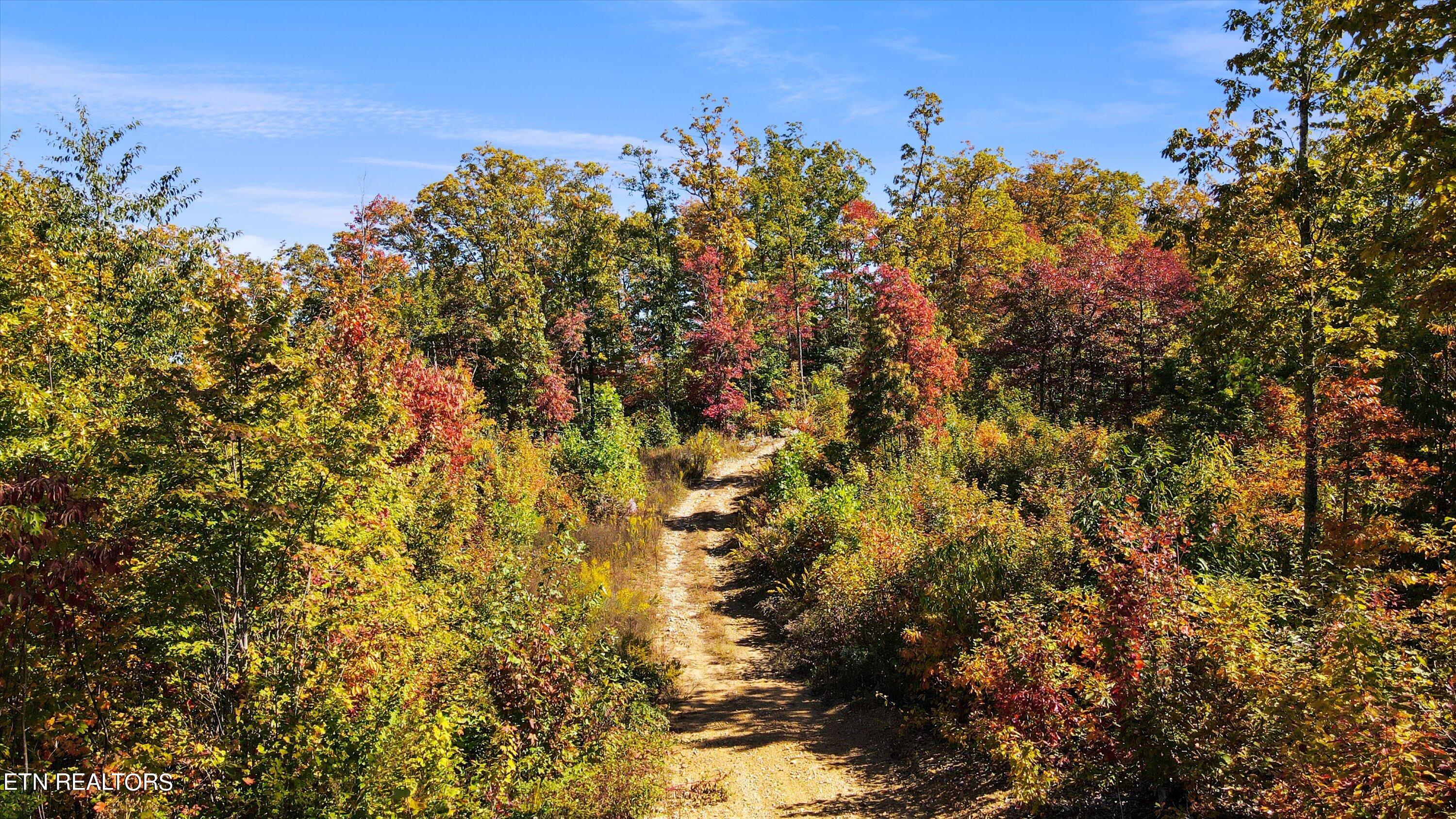 Alpine Drive Sevierville TN 37876