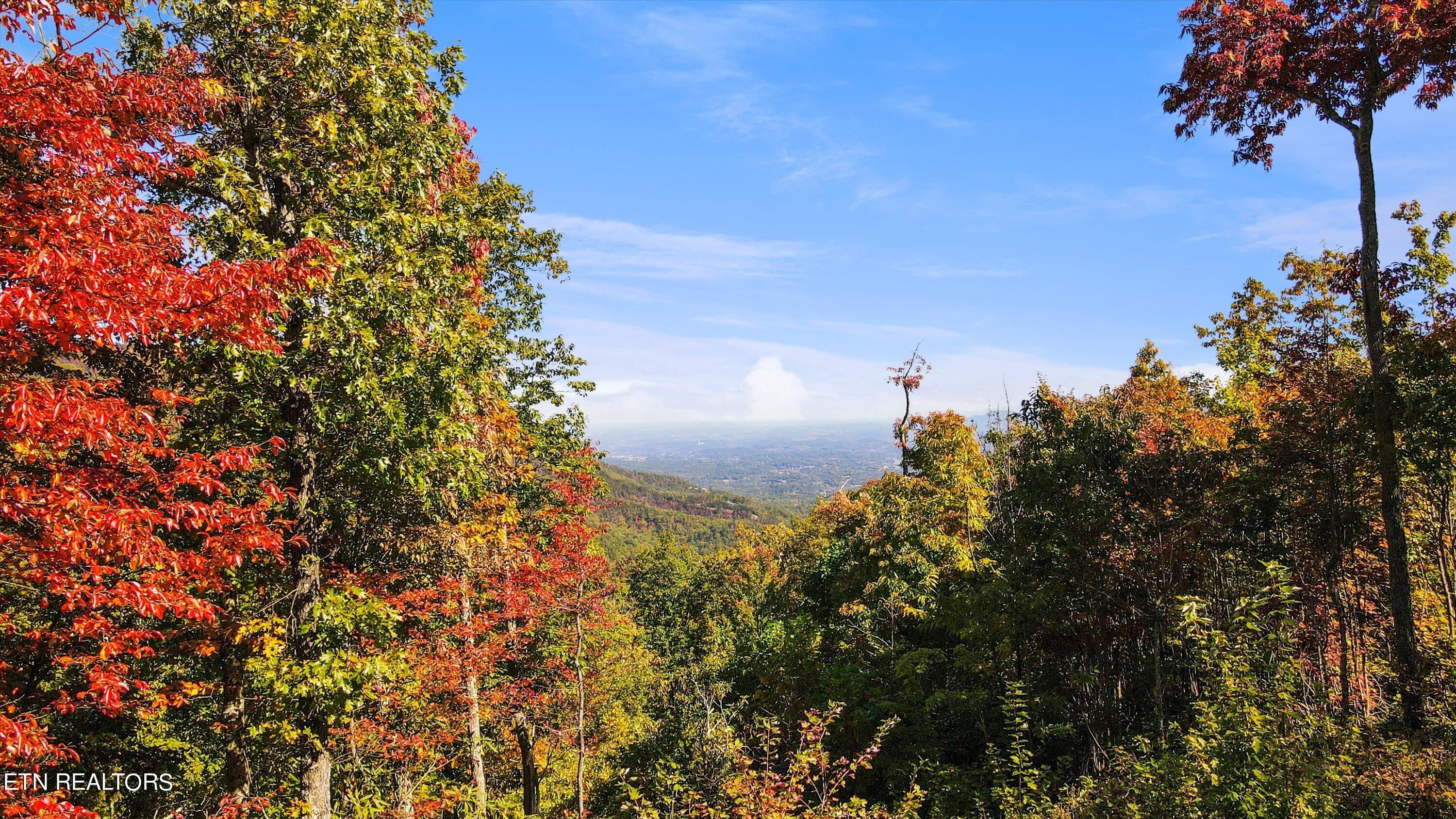 Alpine Drive Sevierville TN 37876