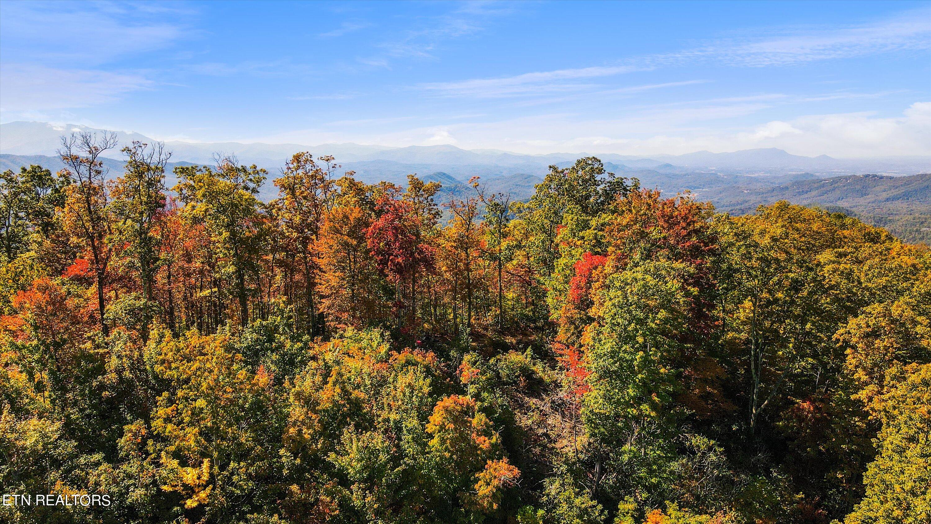 Alpine Drive Sevierville TN 37876