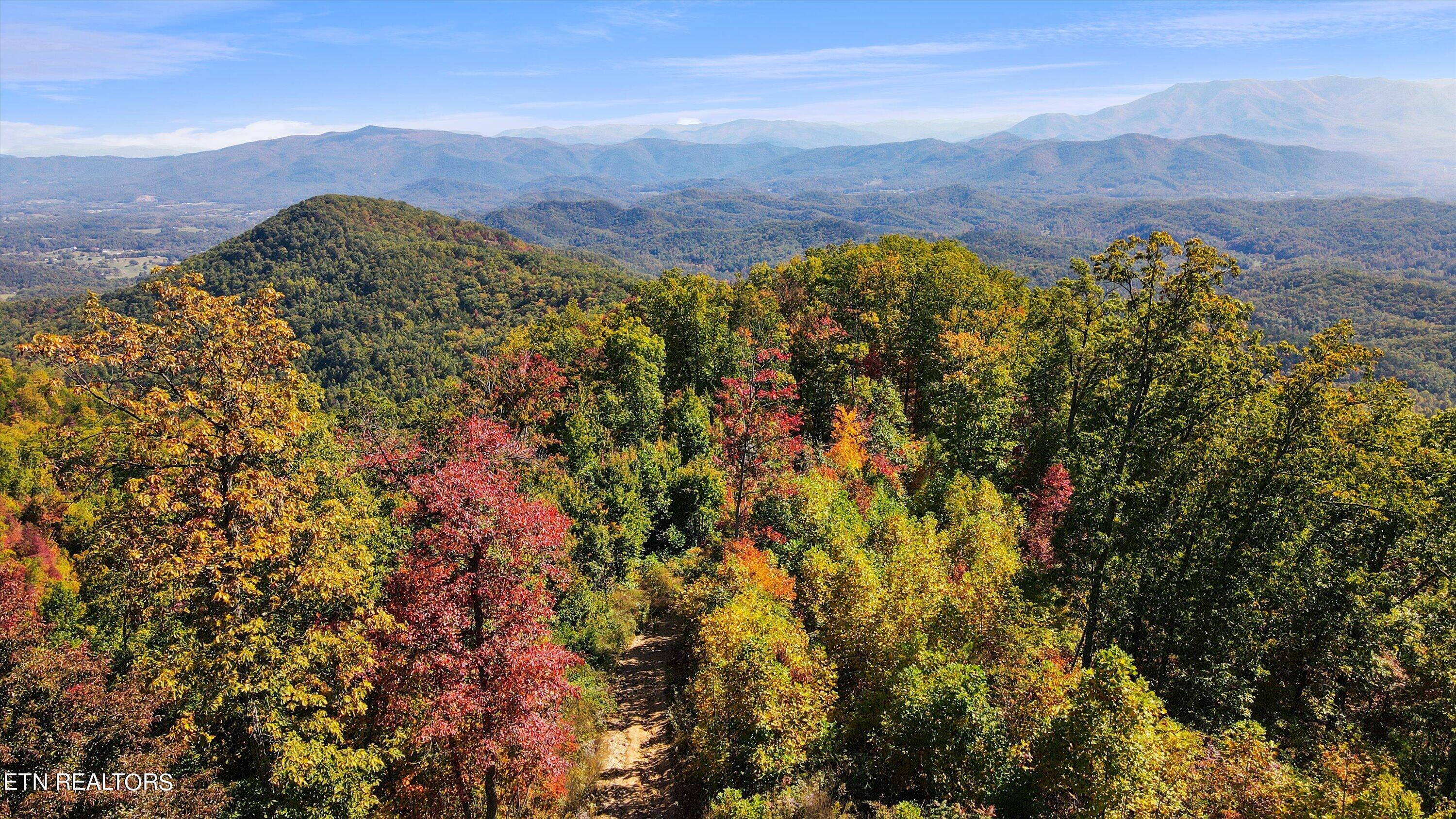 Alpine Drive Sevierville TN 37876