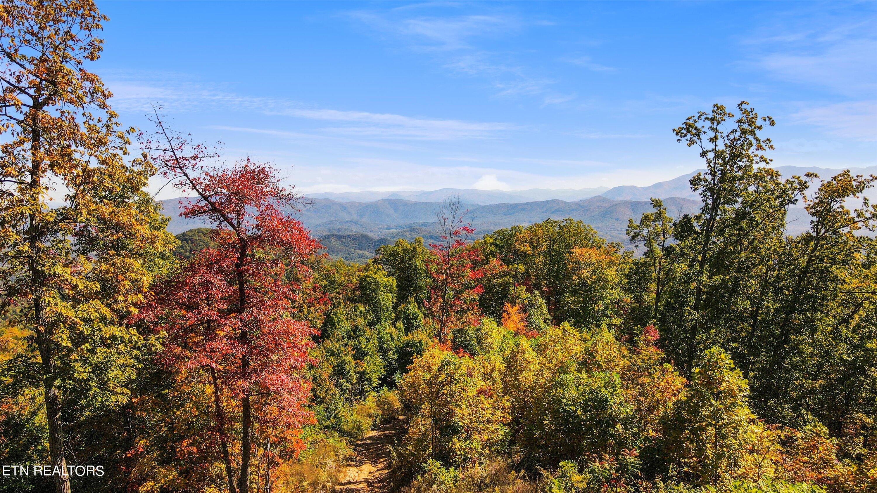 Alpine Drive Sevierville TN 37876