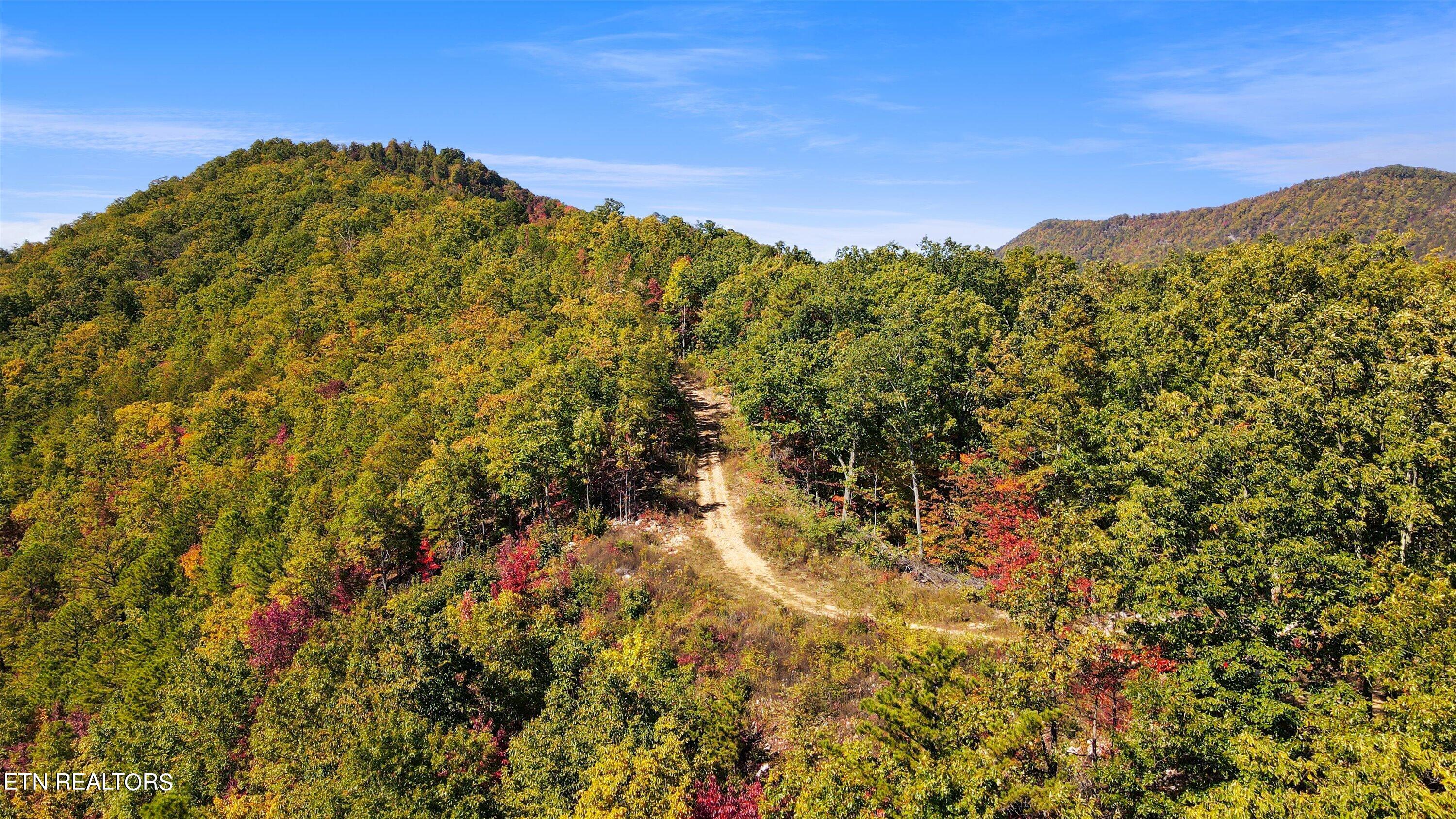 Alpine Drive Sevierville TN 37876