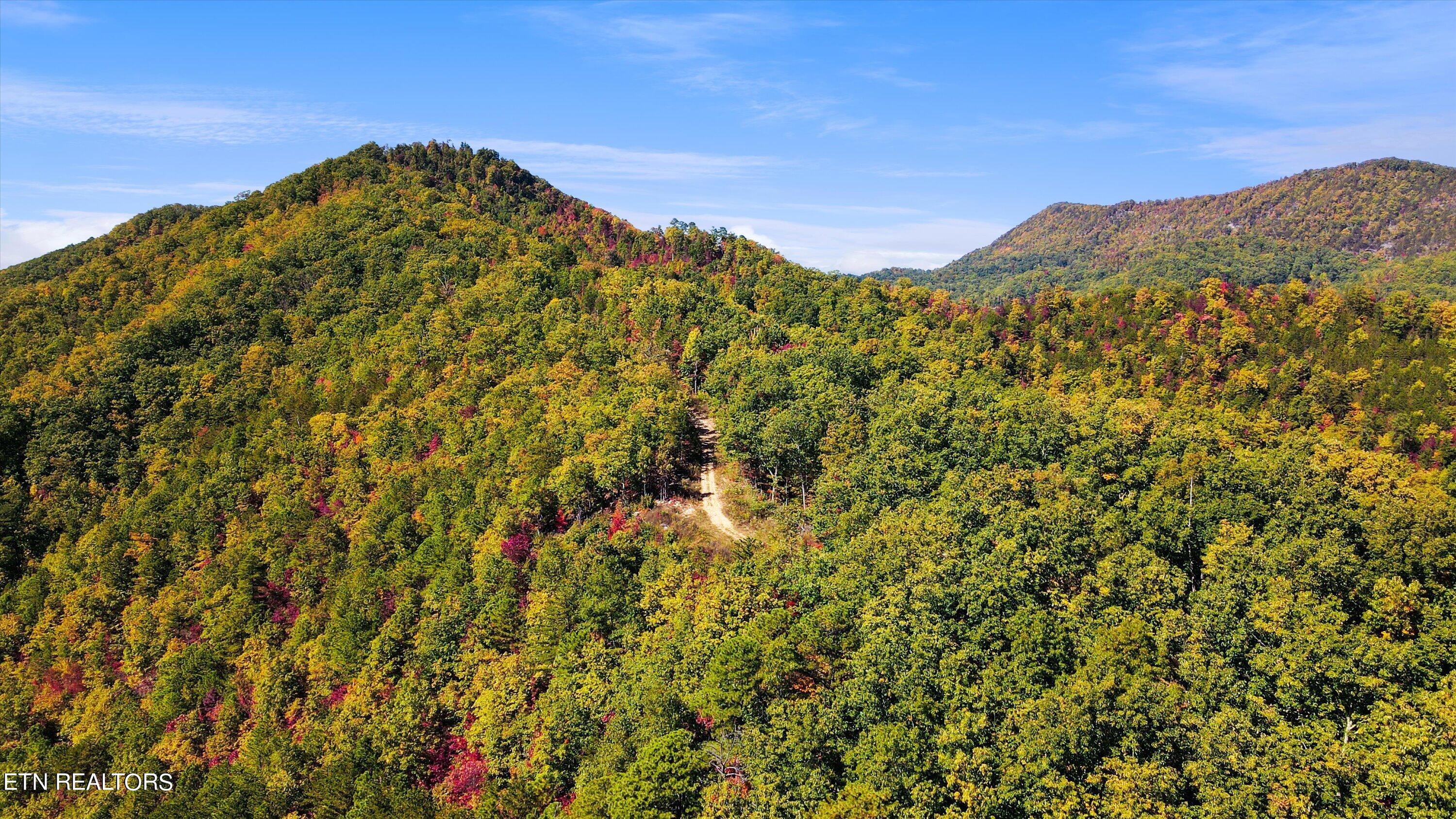 Alpine Drive Sevierville TN 37876
