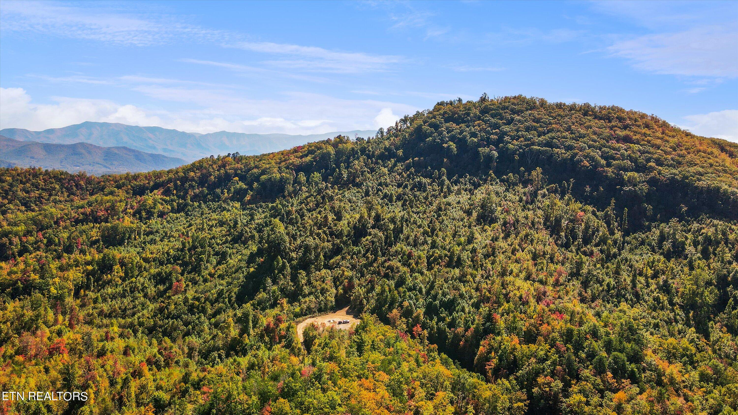 Alpine Drive Sevierville TN 37876