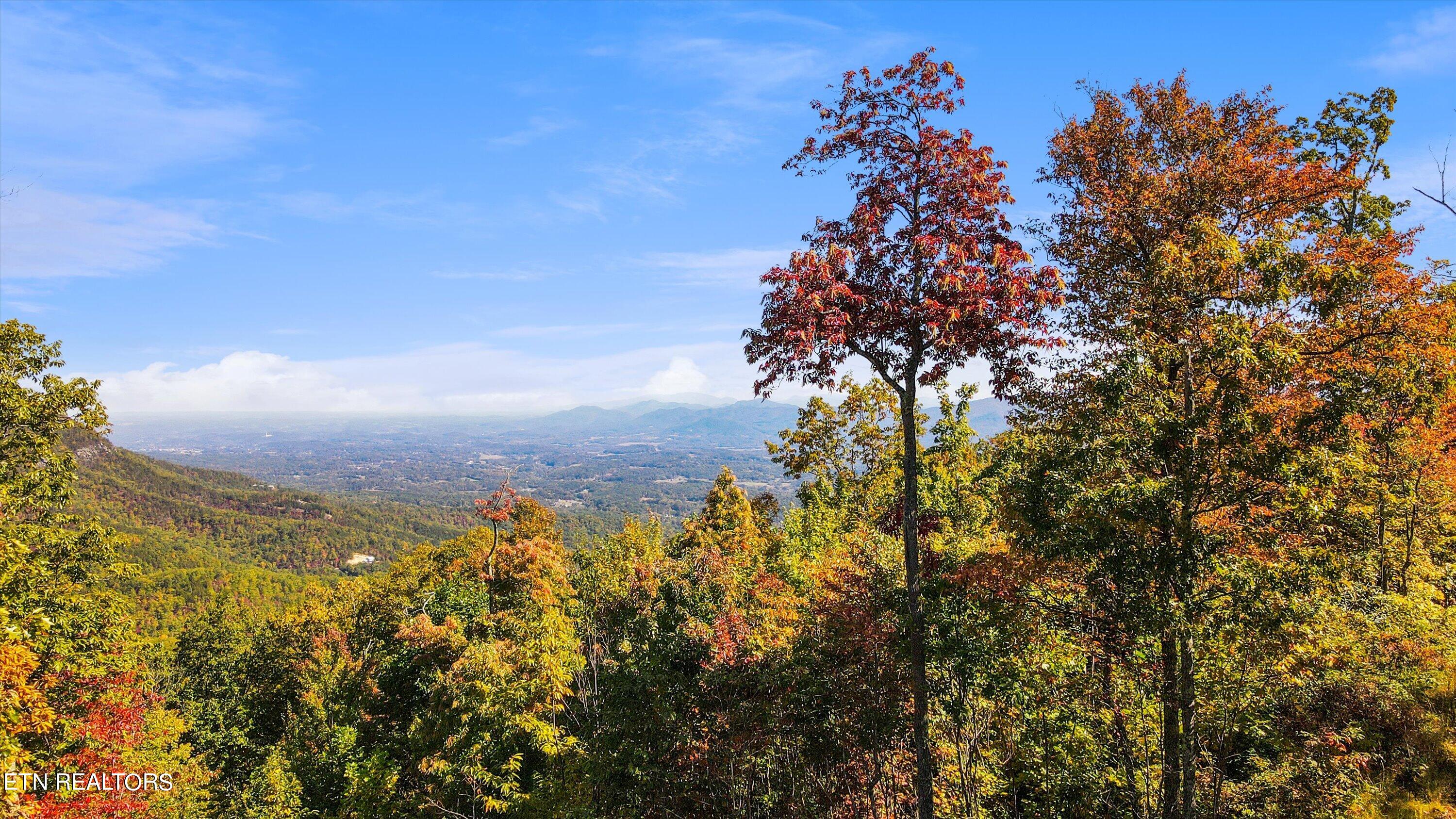 Alpine Drive Sevierville TN 37876