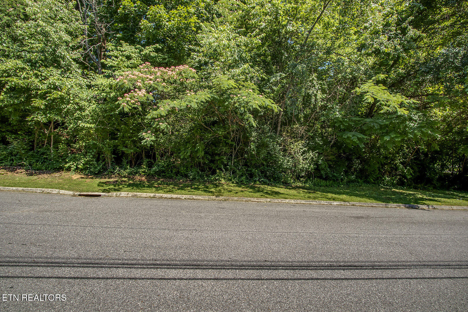 0 Wilkesboro Lane Knoxville TN 37912