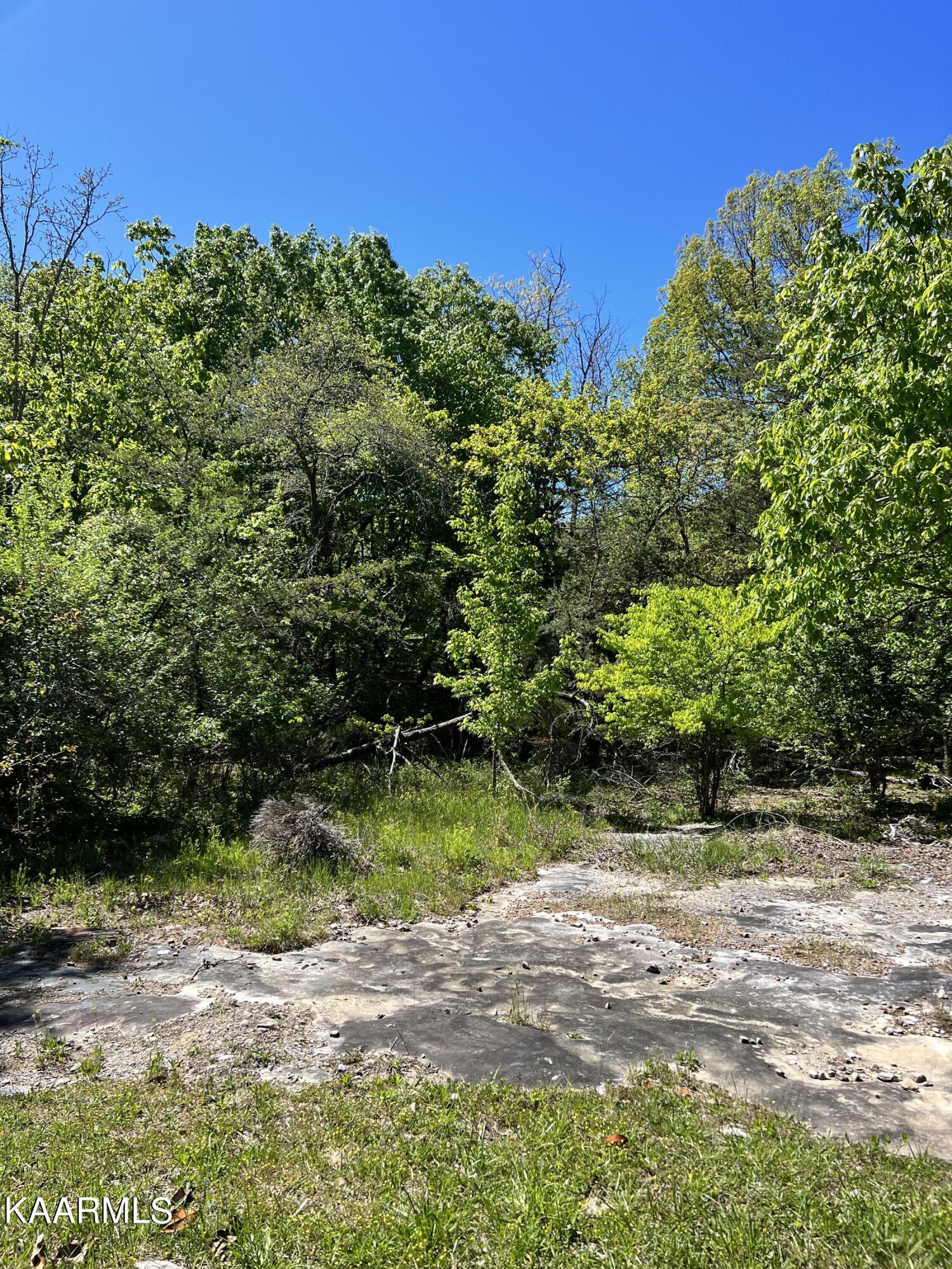 124 Fairhaven Drive Crossville TN 38558