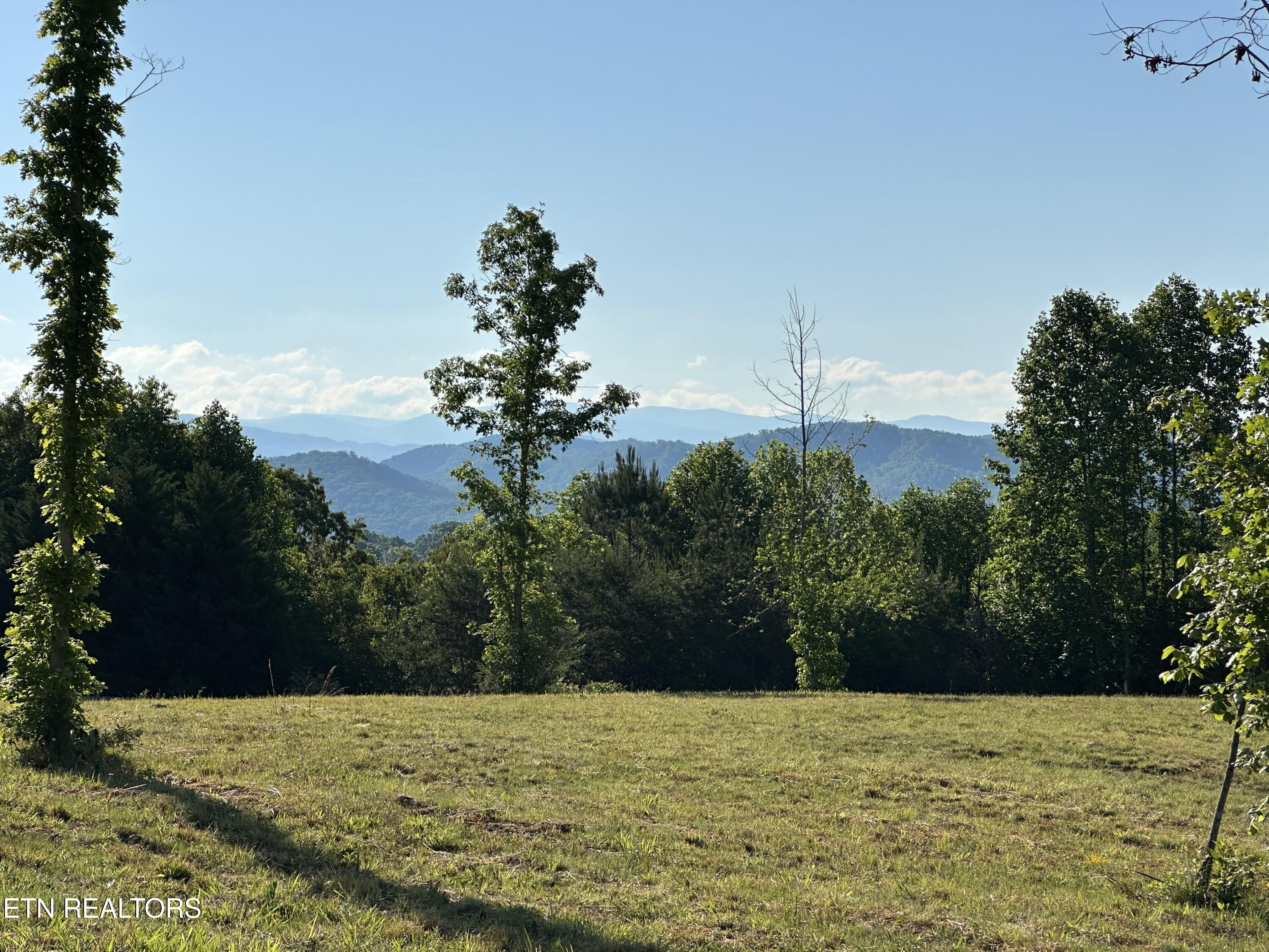 Lot 7 Curtis Road Tellico Plains TN 37385