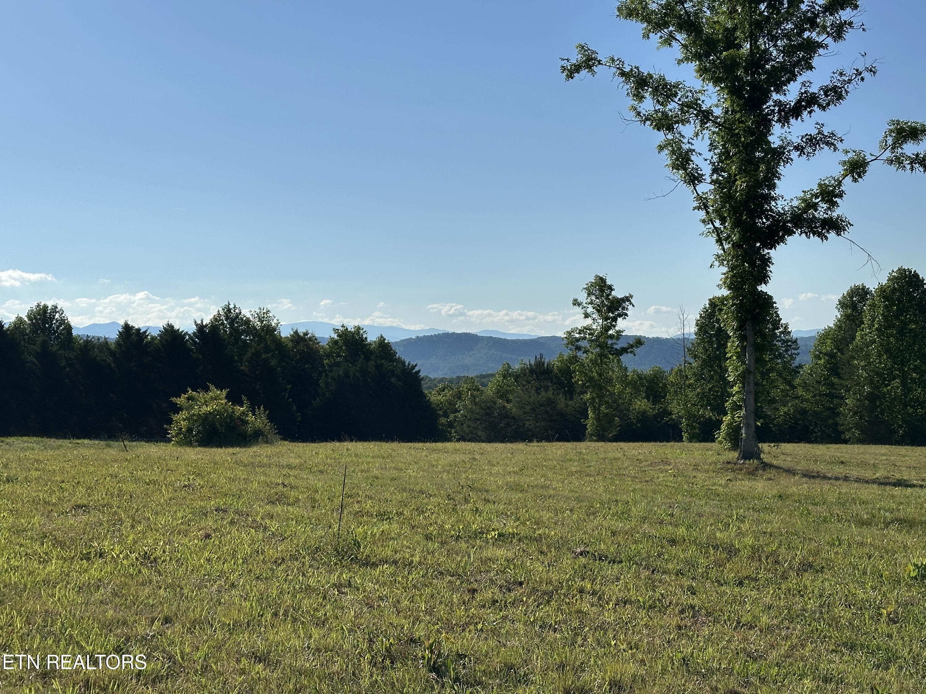 Lot 7 Curtis Road Tellico Plains TN 37385