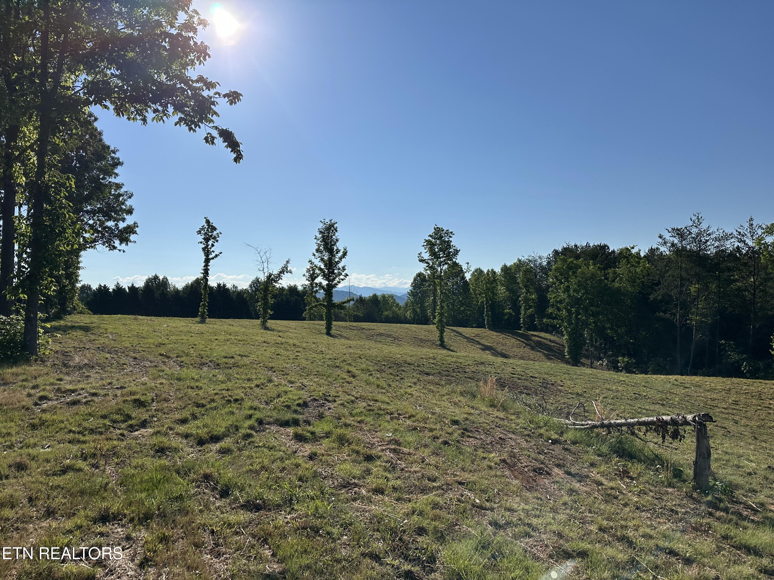 Lot 7 Curtis Road Tellico Plains TN 37385
