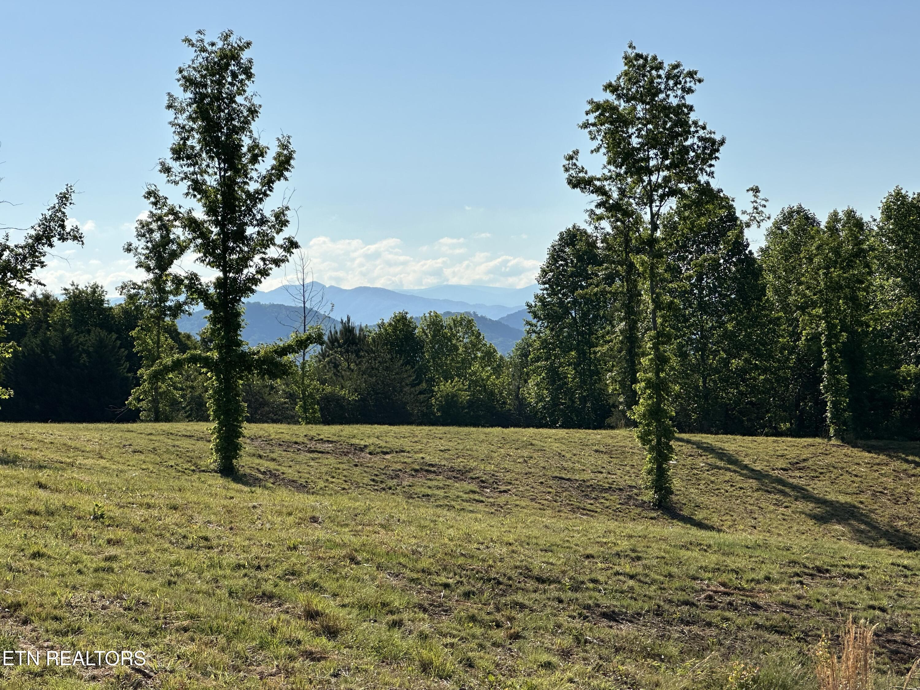 Lot 7 Curtis Road Tellico Plains TN 37385