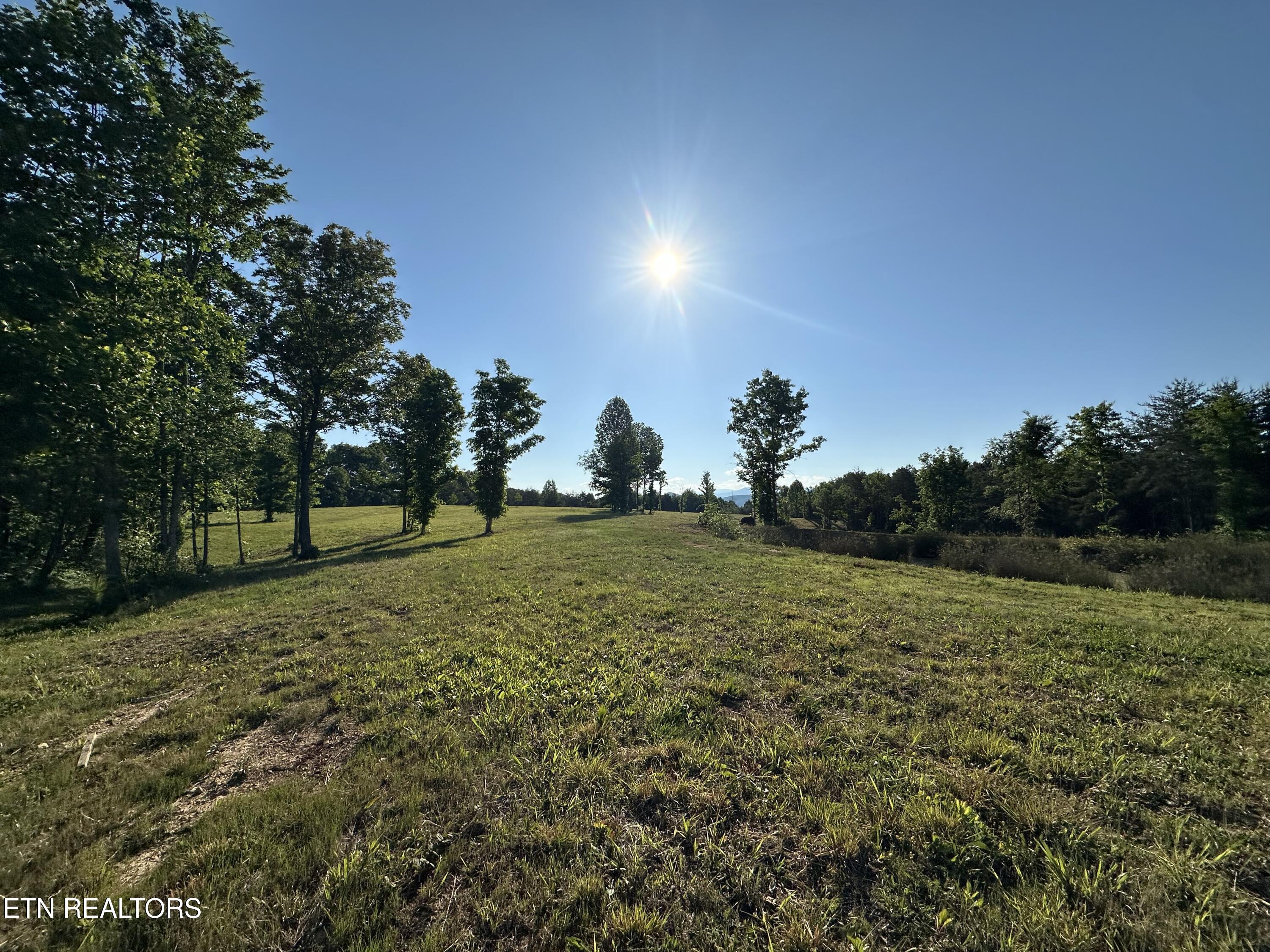 Lot 7 Curtis Road Tellico Plains TN 37385