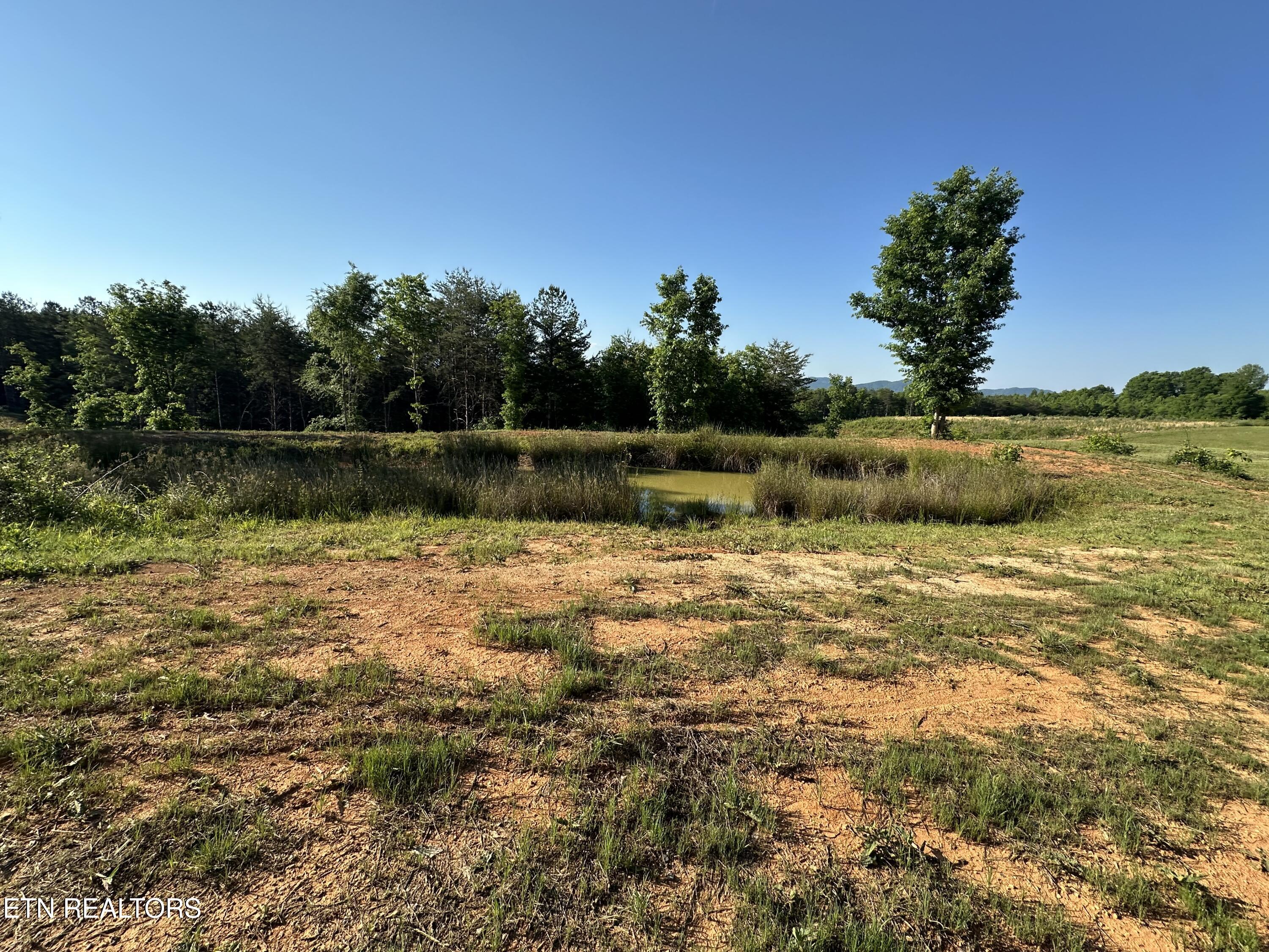 Lot 7 Curtis Road Tellico Plains TN 37385