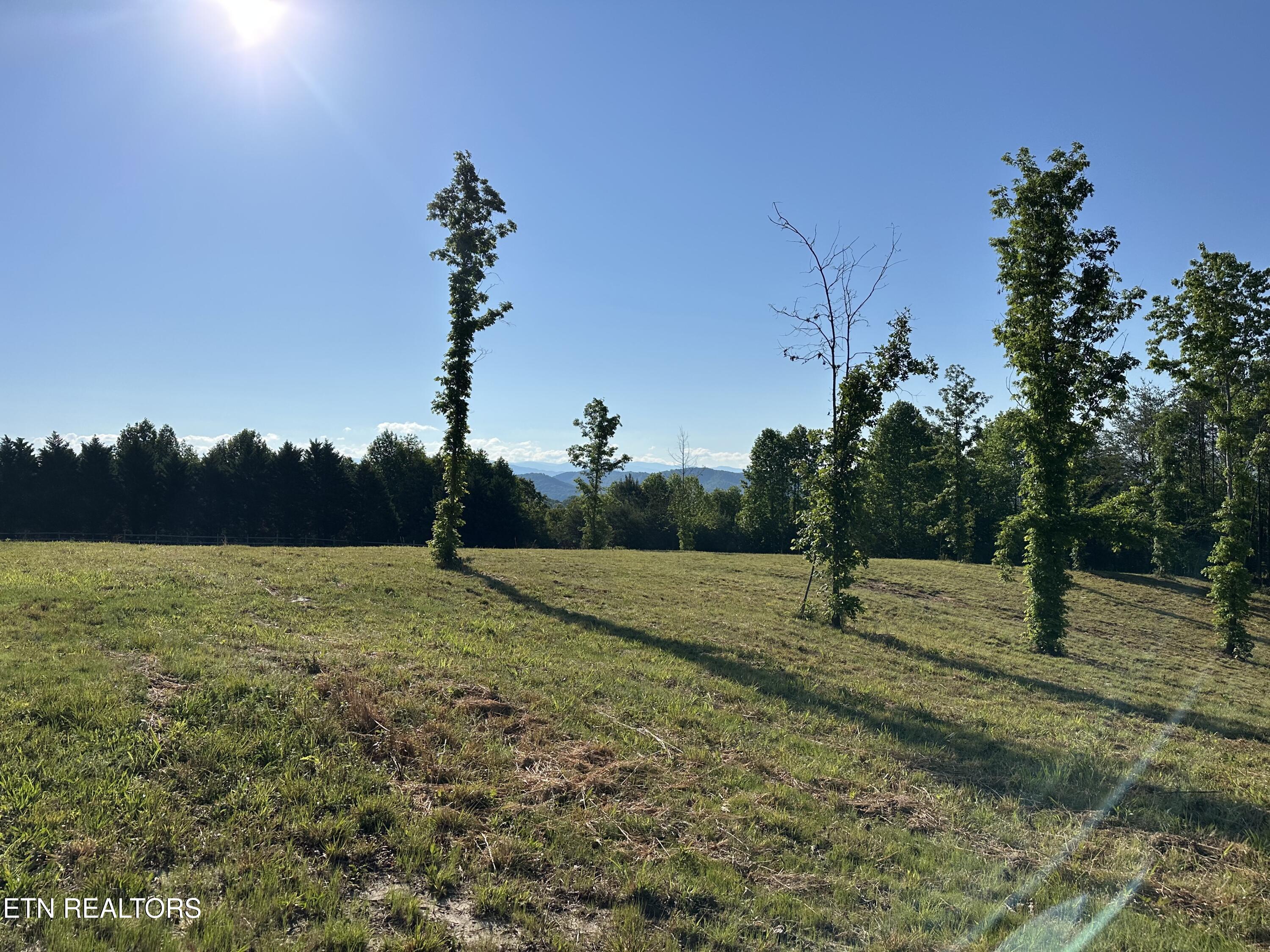 Lot 7 Curtis Road Tellico Plains TN 37385