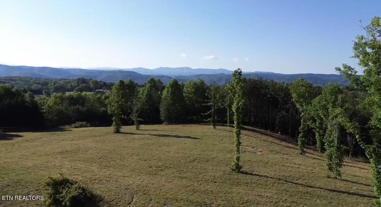 Lot 7 Curtis Road Tellico Plains TN 37385
