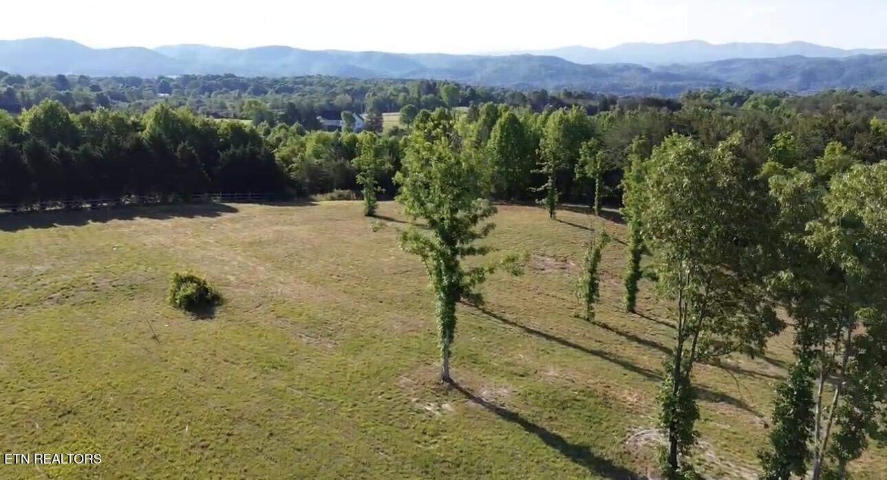 Lot 7 Curtis Road Tellico Plains TN 37385