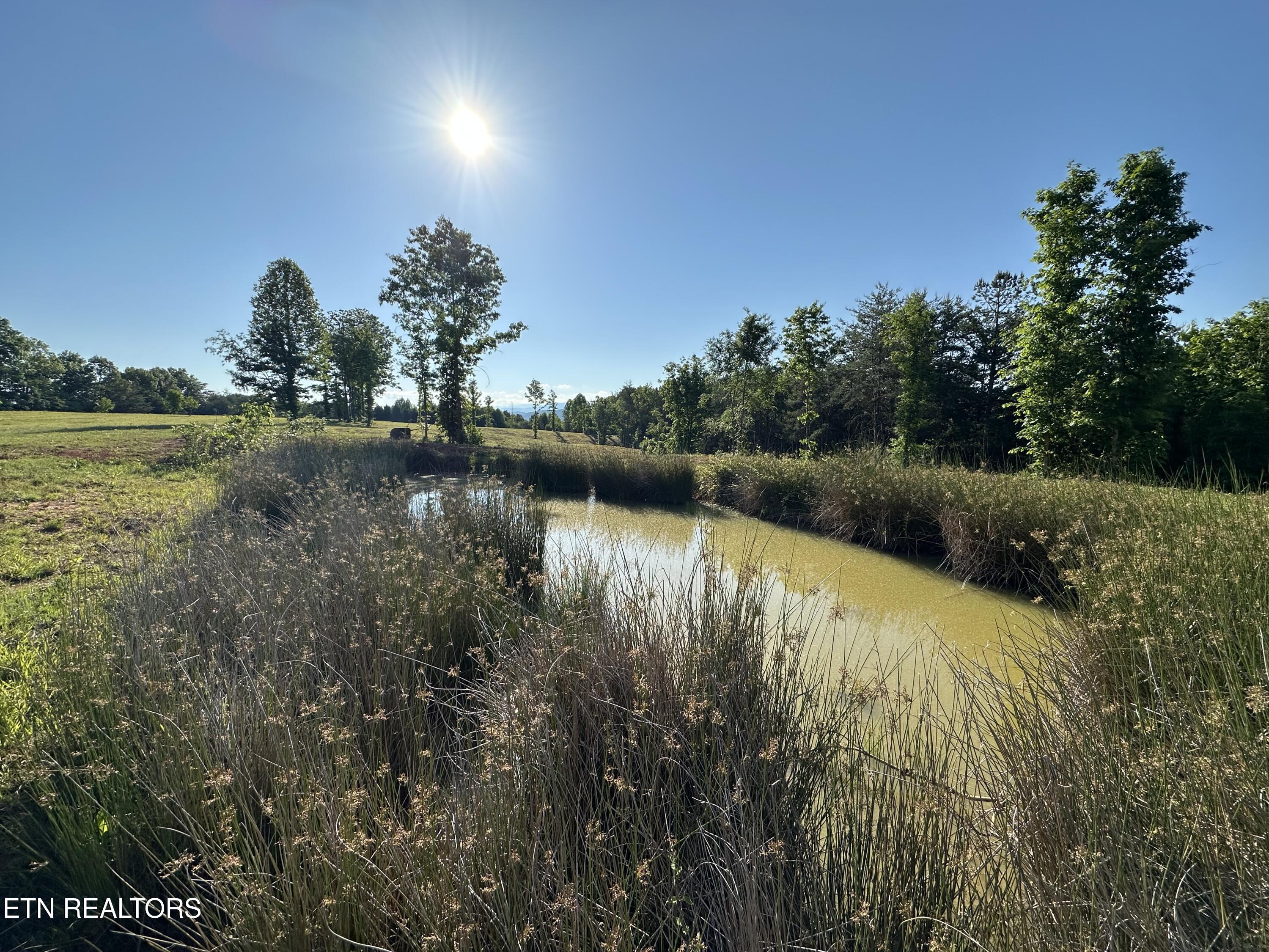 Lot 7 Curtis Road Tellico Plains TN 37385