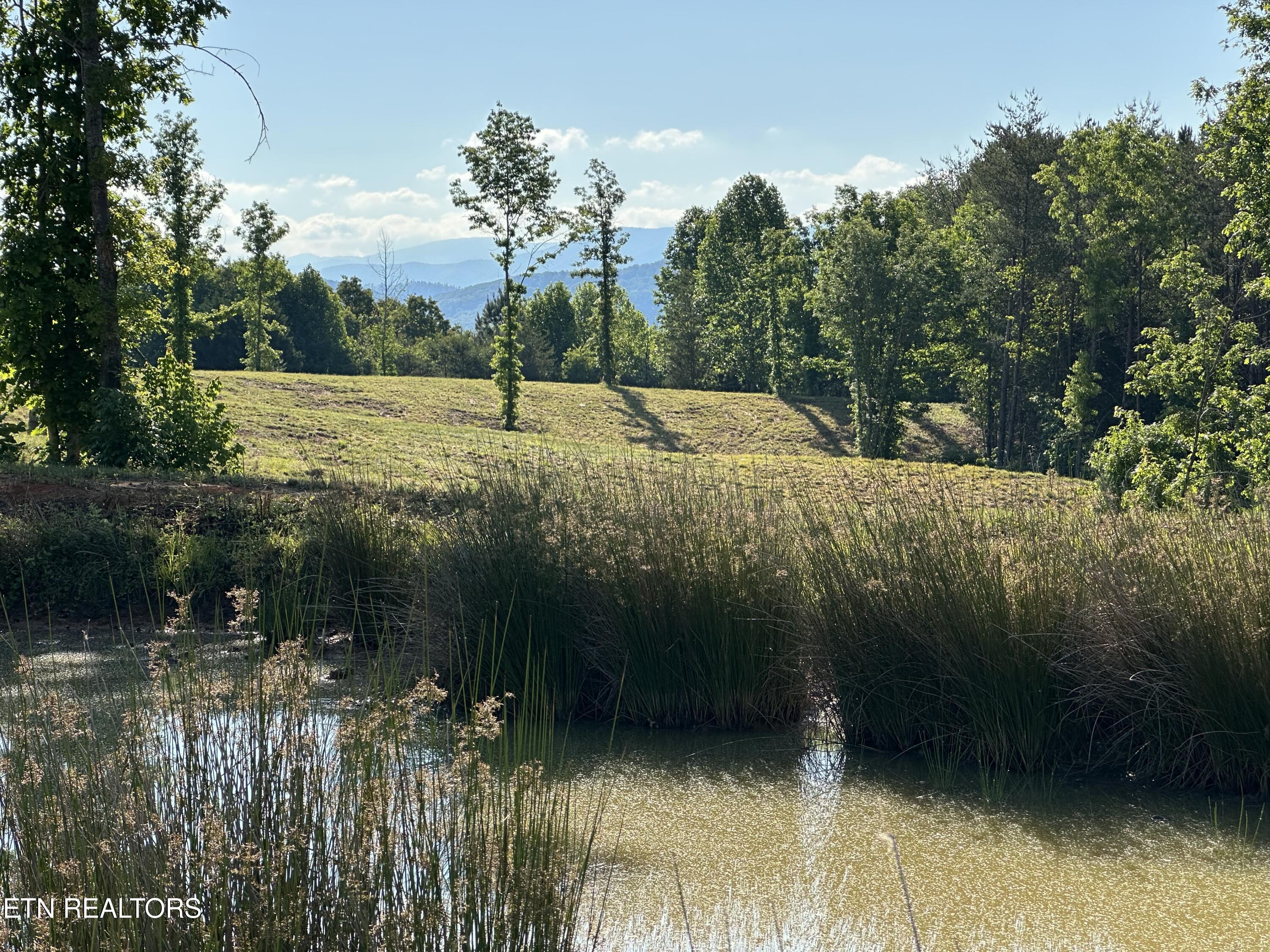 Lot 7 Curtis Road Tellico Plains TN 37385