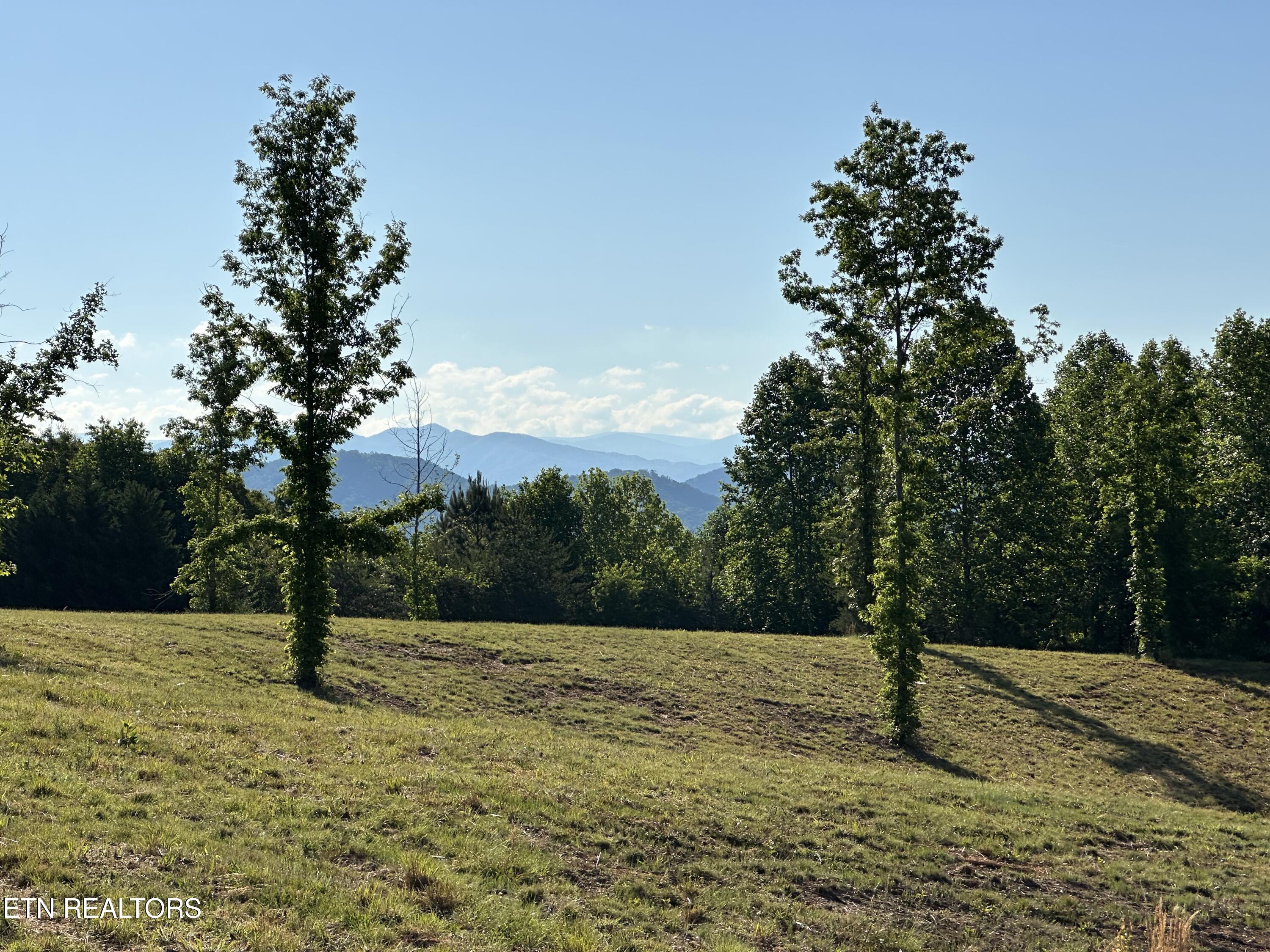 Lot 7 Curtis Road Tellico Plains TN 37385