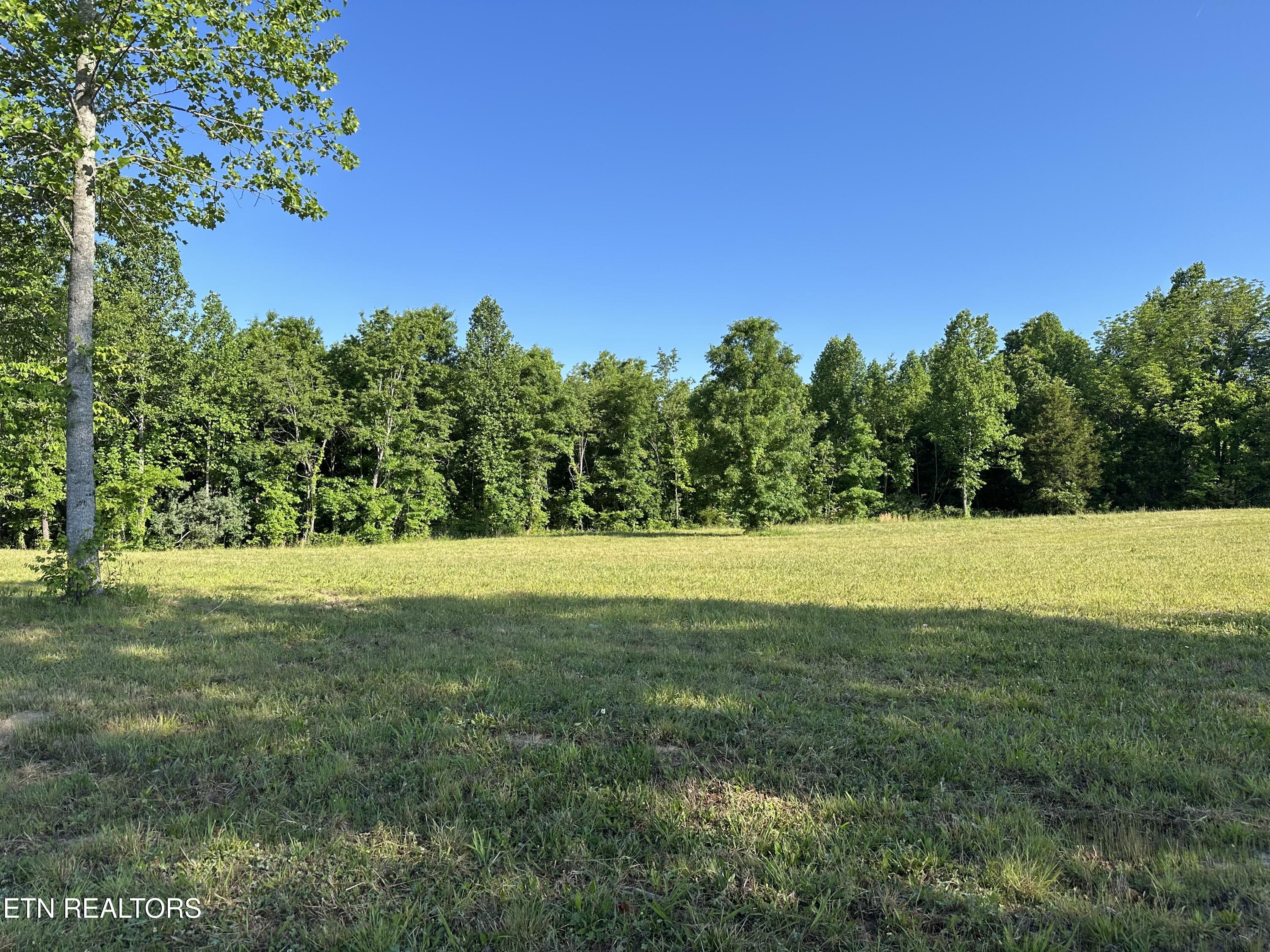 Lot 7 Curtis Road Tellico Plains TN 37385
