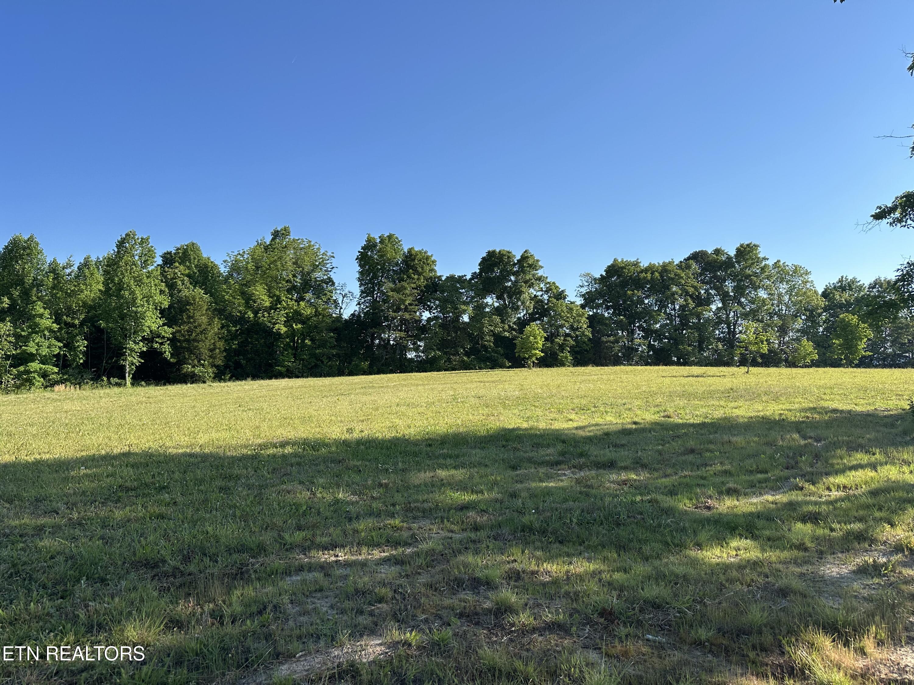 Lot 7 Curtis Road Tellico Plains TN 37385