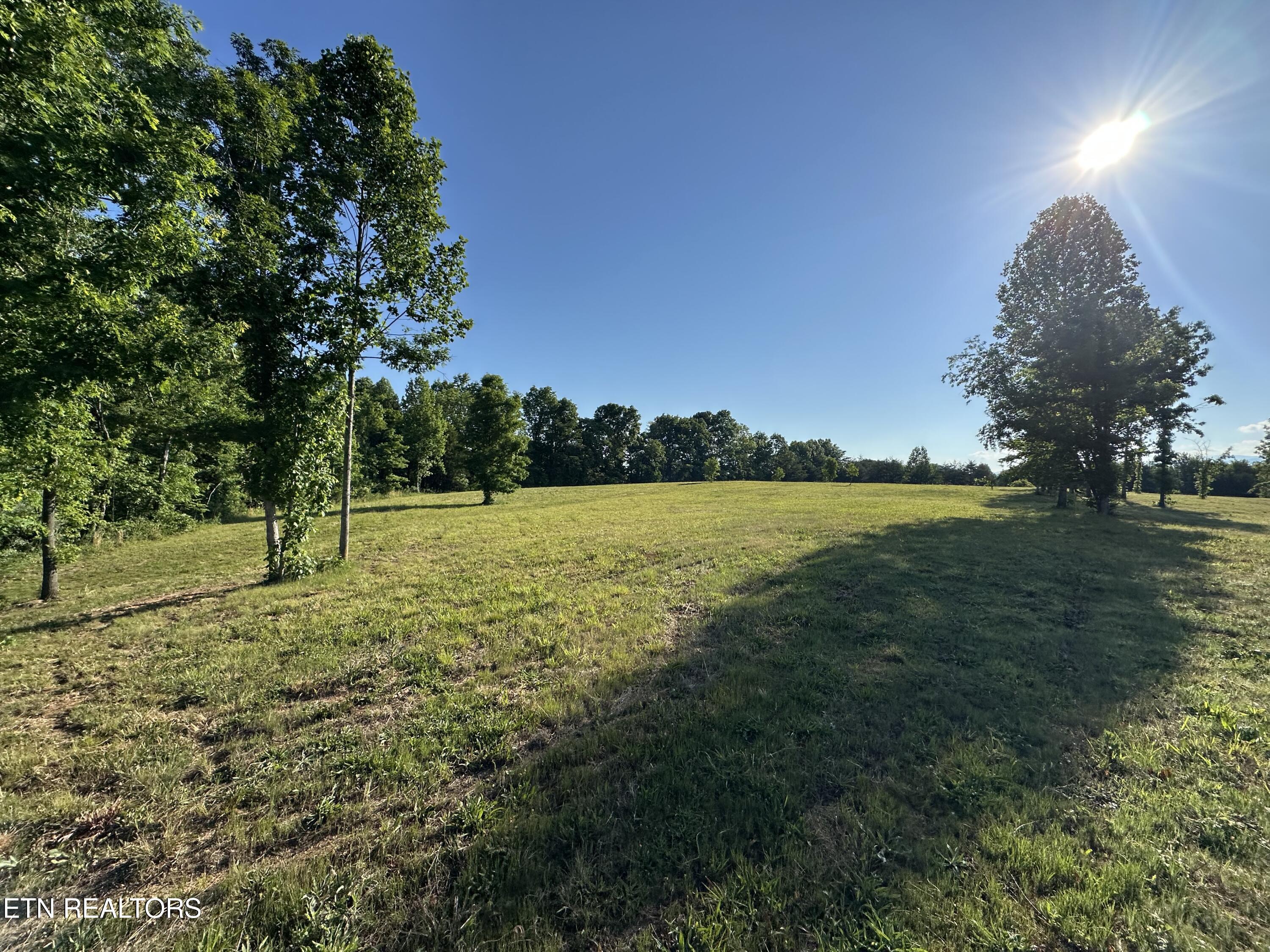 Lot 7 Curtis Road Tellico Plains TN 37385