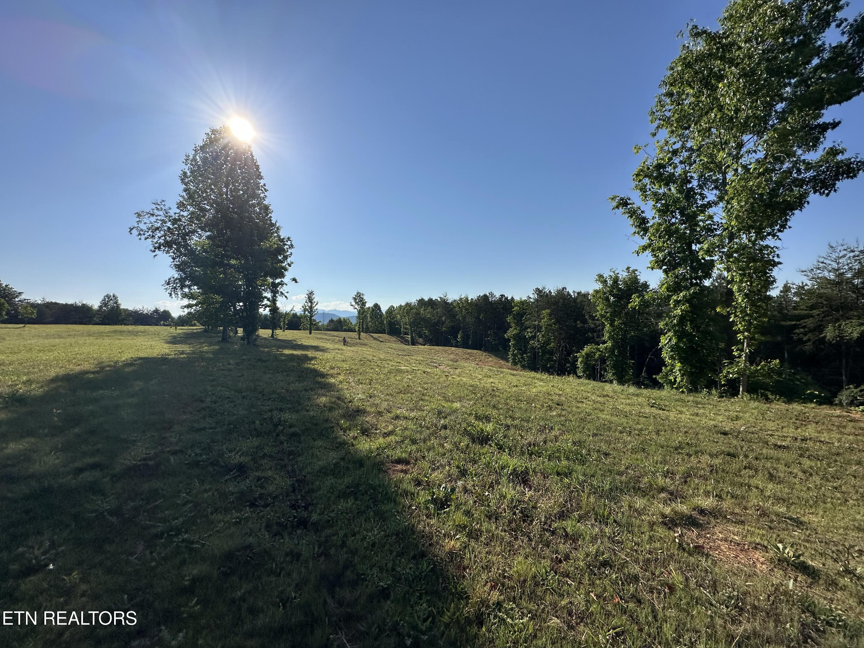 Lot 7 Curtis Road Tellico Plains TN 37385