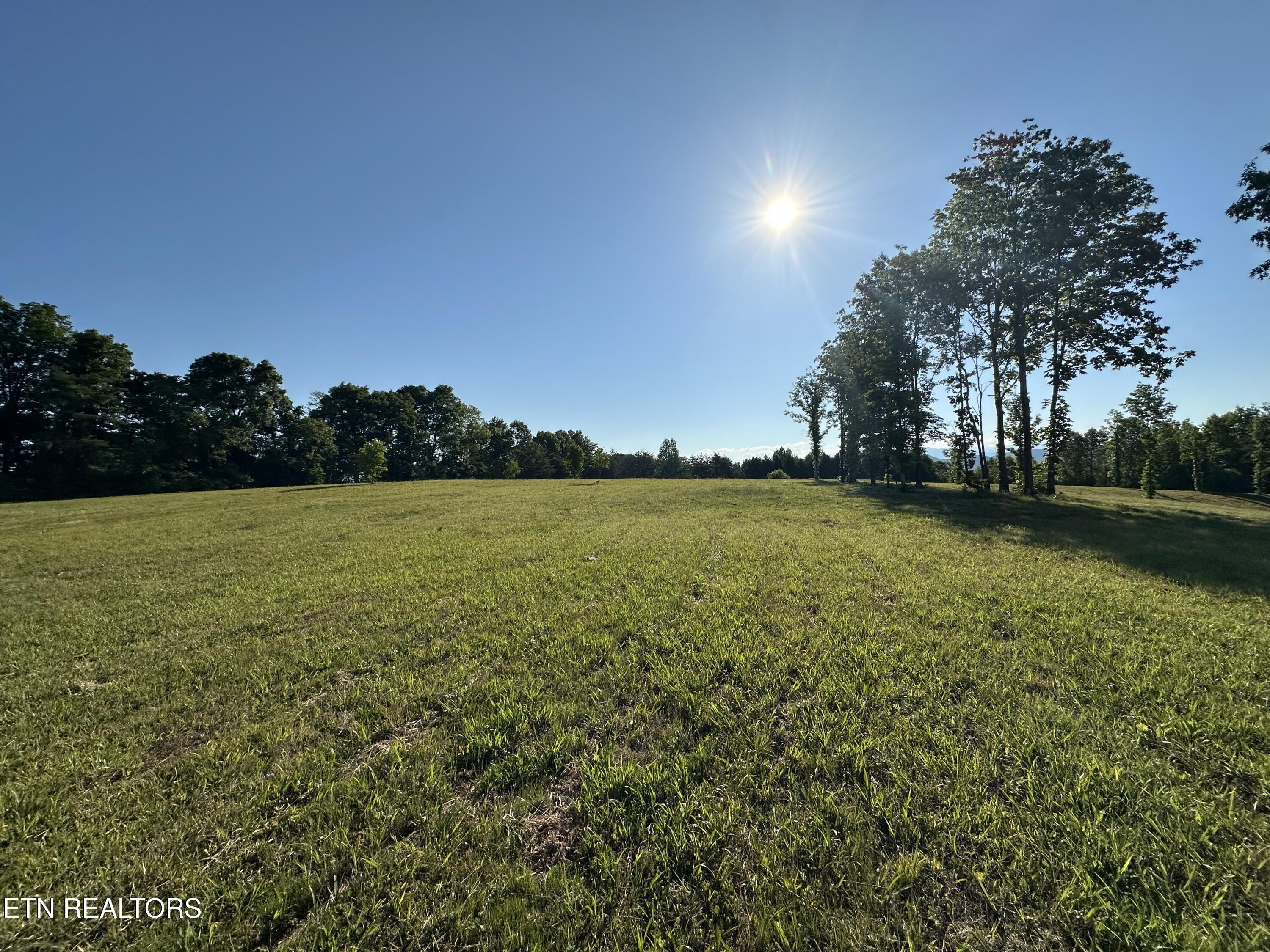 Lot 7 Curtis Road Tellico Plains TN 37385