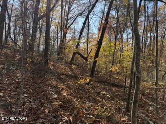 Parcel 053 050.00 Obes Branch Road Sevierville TN 37876