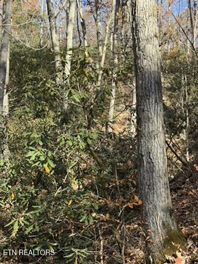 Parcel 053 050.00 Obes Branch Road Sevierville TN 37876