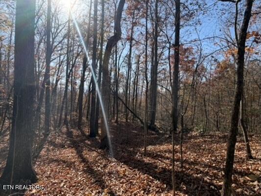 Parcel 053 050.00 Obes Branch Road Sevierville TN 37876