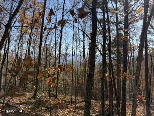Parcel 053 050.00 Obes Branch Road Sevierville TN 37876