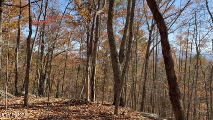 Parcel 053 050.00 Obes Branch Road Sevierville TN 37876