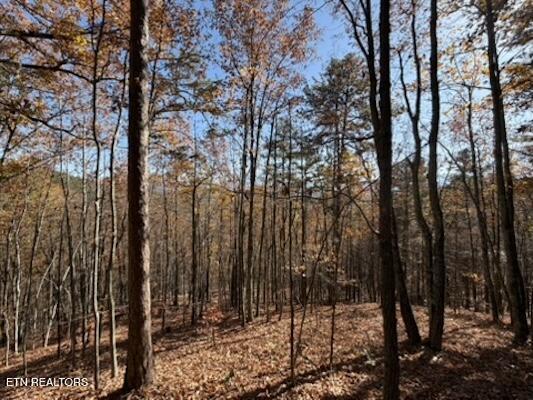 Parcel 053 050.00 Obes Branch Road Sevierville TN 37876