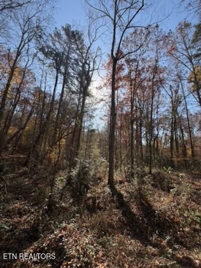 Parcel 053 050.00 Obes Branch Road Sevierville TN 37876