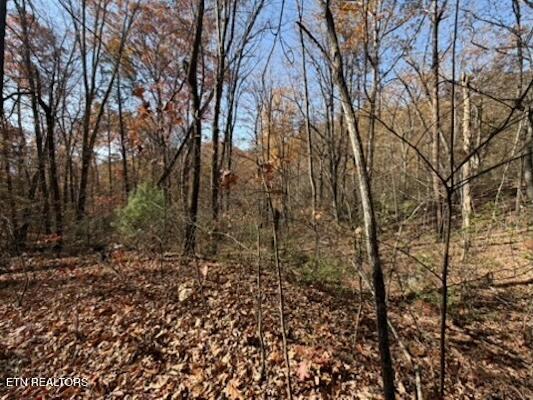 Parcel 053 050.00 Obes Branch Road Sevierville TN 37876