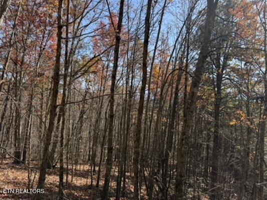 Parcel 053 050.00 Obes Branch Road Sevierville TN 37876