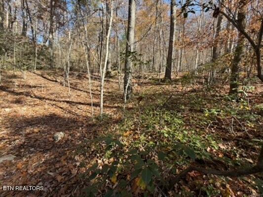 Parcel 053 050.00 Obes Branch Road Sevierville TN 37876