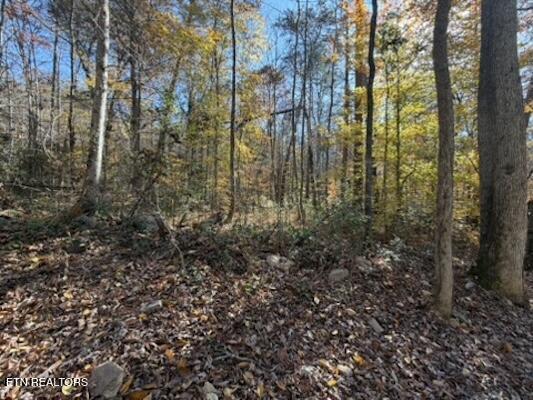 Parcel 053 050.00 Obes Branch Road Sevierville TN 37876