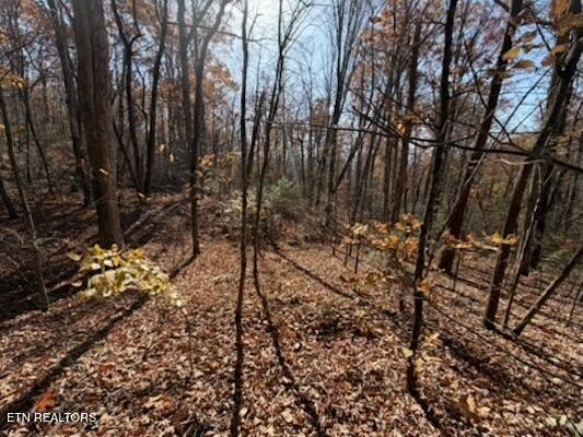 Parcel 053 050.00 Obes Branch Road Sevierville TN 37876