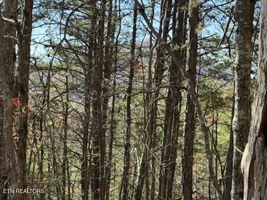 Parcel 053 050.00 Obes Branch Road Sevierville TN 37876