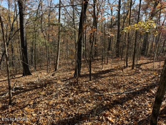 Parcel 053 050.00 Obes Branch Road Sevierville TN 37876